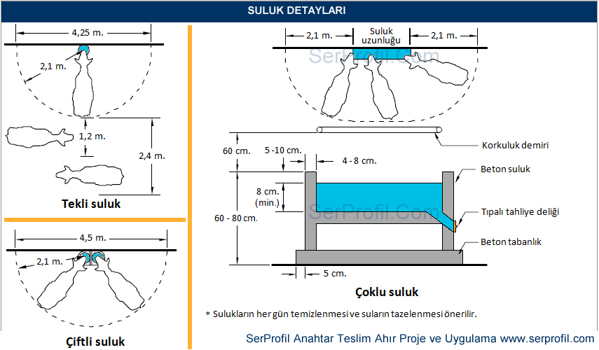 Büyükbaş Hayvancılık - Sağmal Ahır Suluk Detayları